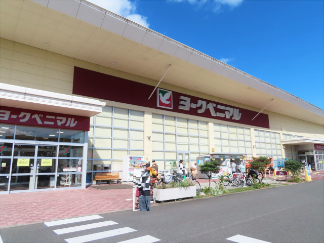 スーパー　ヨークベニマル　新田東店（スーパー）まで550m