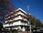 中学校　羽村第三中学校（中学校）まで280m