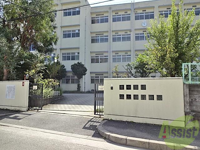 中学校　第十五中学校（中学校）まで600m