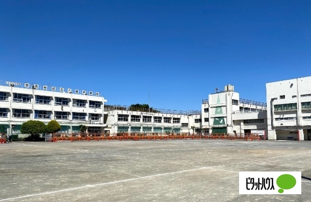 中学校　世田谷区立八幡中学校（中学校）まで617m