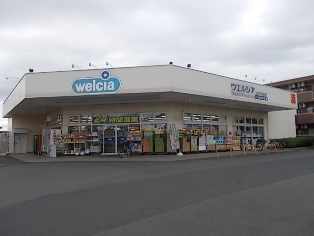ドラックストア　ウエルシア水戸平須店（ドラッグストア）まで1075m