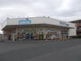 ドラックストア　ウエルシア水戸平須店（ドラッグストア）まで1075m