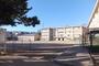 小学校　川崎市立鷺沼小学校（小学校）まで712m