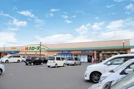 スーパー　ハローズ庭瀬店（スーパー）まで1002m