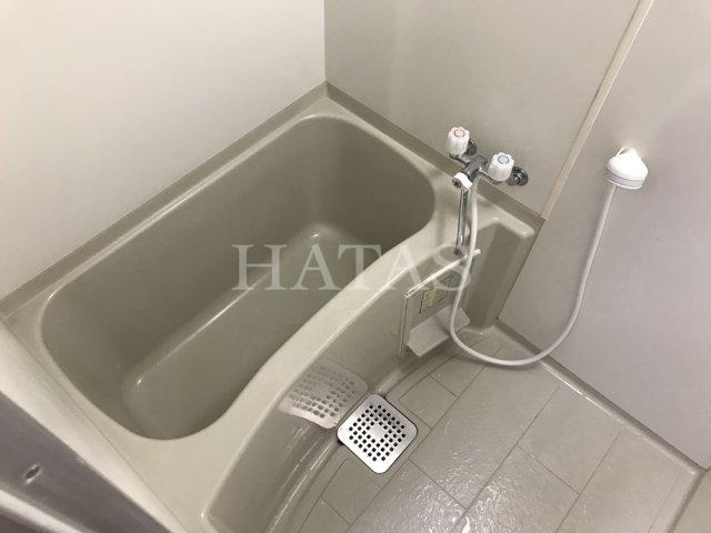 バス・シャワールーム　同物件別部屋です