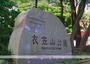 公園　衣笠山公園（公園）まで2595m