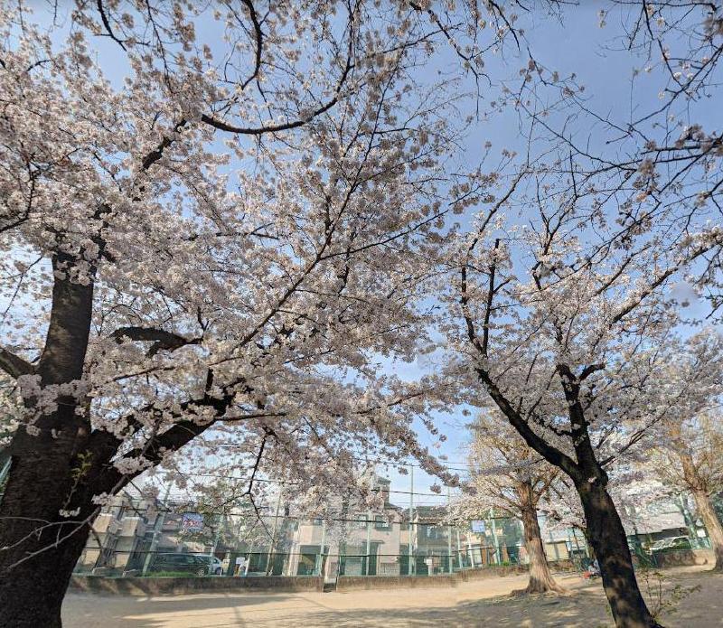 公園　綾南公園（公園）まで300m