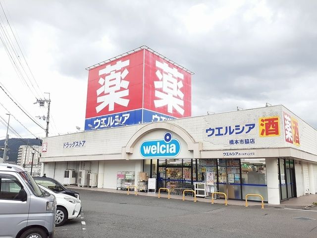ドラックストア　ウエルシア橋本脇店様（ドラッグストア）まで1654m