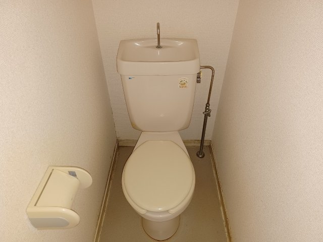 トイレ　トイレです