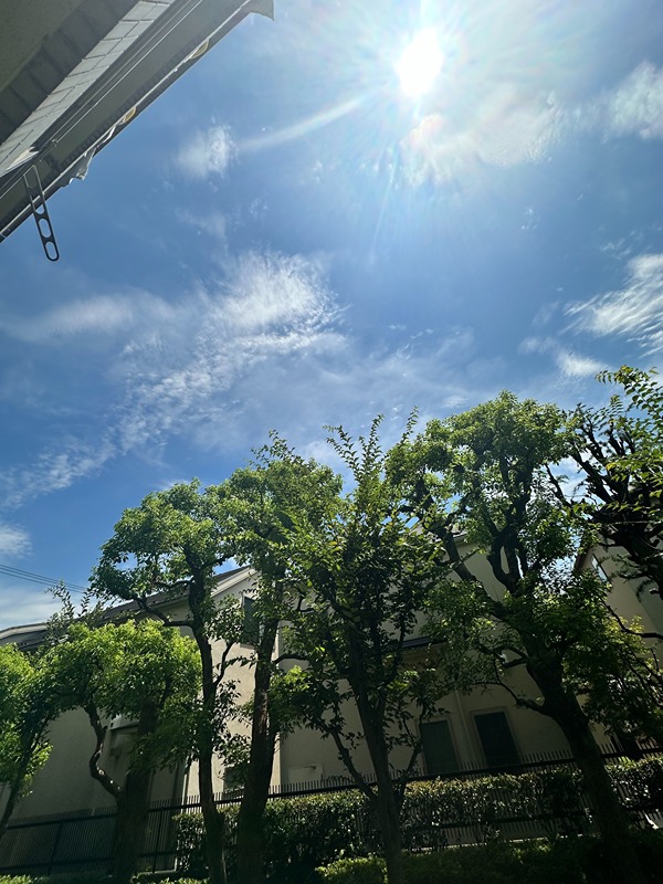 眺望　※写真103号室コピー