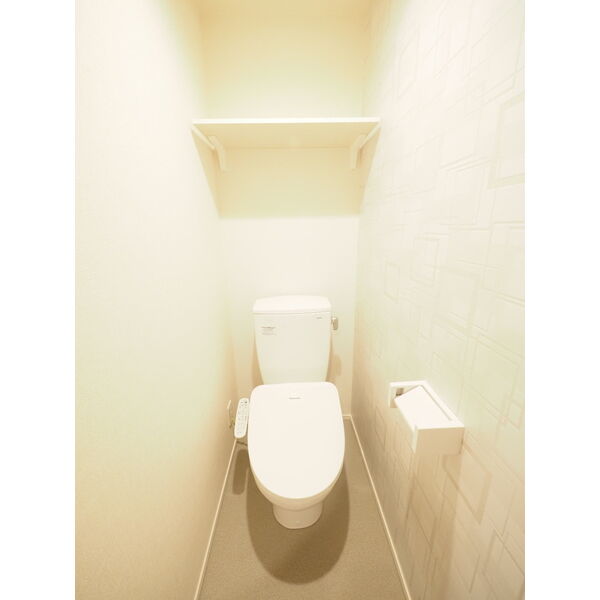 ハーモニーテラス八番IIIのトイレ写真