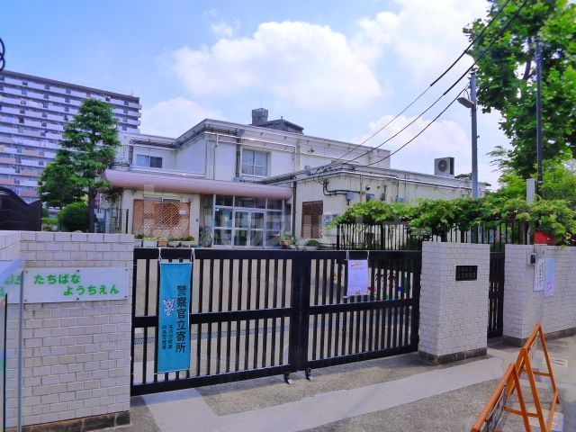 幼稚園・保育園　墨田区立立花幼稚園（幼稚園・保育園）まで240m
