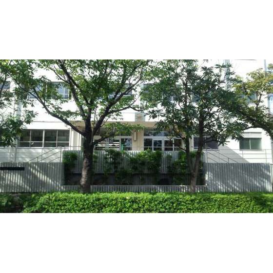 中学校　世田谷区立駒沢中学校（中学校）まで797m