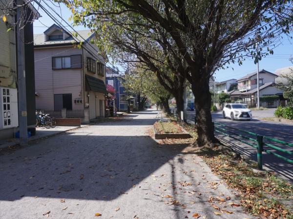 その他　現地周辺街並み（その他）まで5m