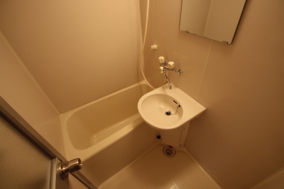 バス・シャワールーム　※別部屋の写真です