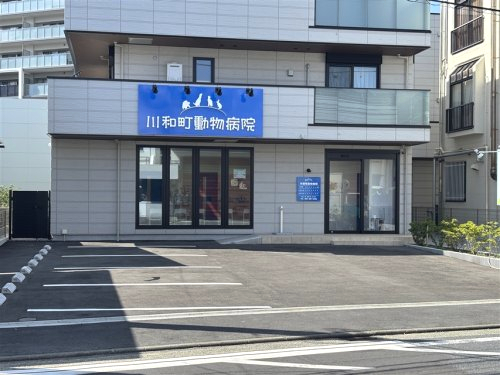 病院　川和町動物病院（病院）まで432m