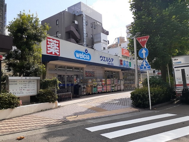 ドラックストア　ウェルシア相模大野店（ドラッグストア）まで260m