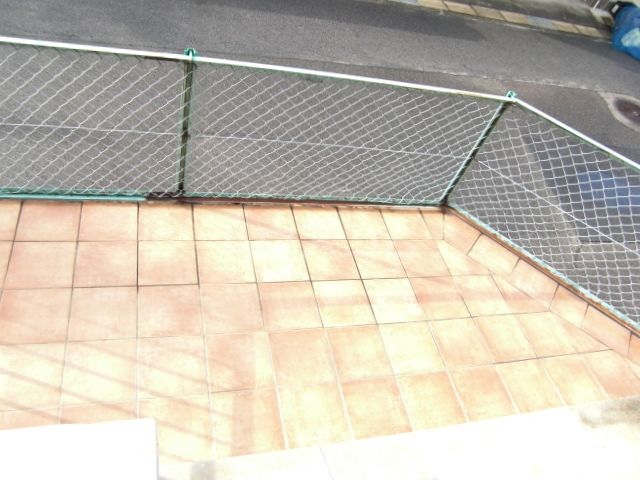 庭