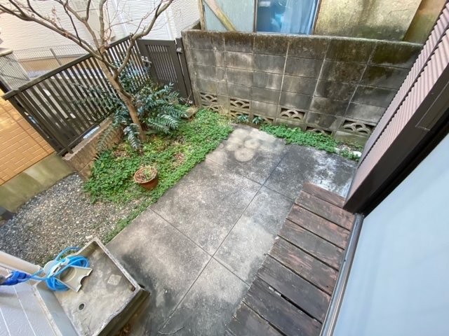 庭