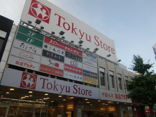 その他　Tokyu Store（その他）まで1559m