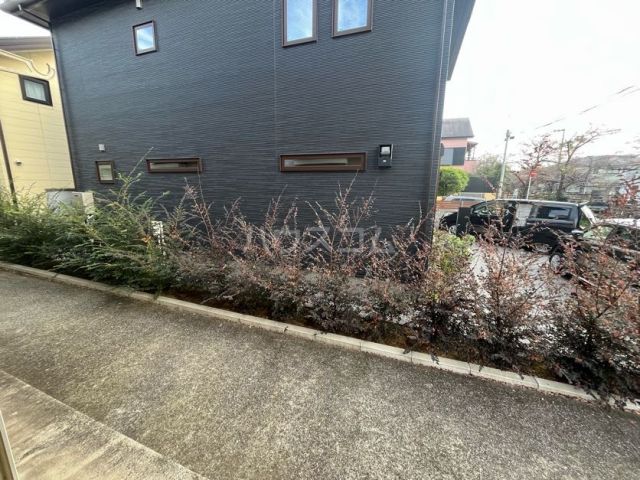 庭