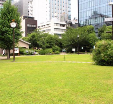 公園　南桜公園（公園）まで335m
