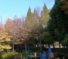 公園　教育の森公園（公園）まで1100m