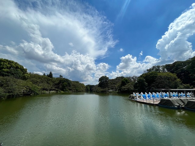 その他　井の頭自然文化園（その他）まで1645m