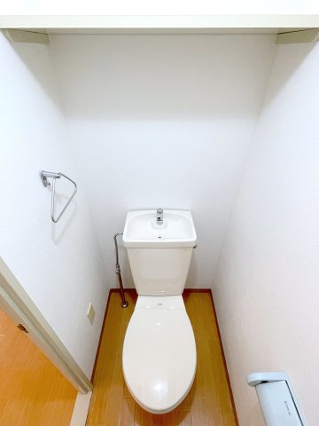 グレースコート尼崎 203のトイレ写真