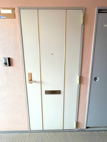 グレースコート尼崎 203の玄関写真