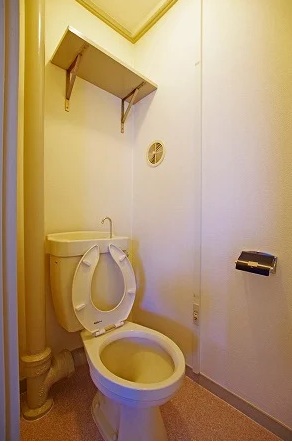 ＪＲ阪和線 日根野駅 徒歩43分 5階建 築50年のトイレ写真