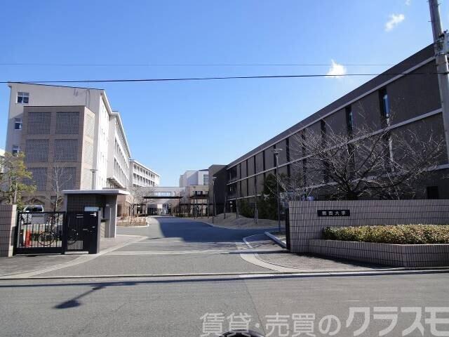 大学・短大　私立関西大学堺キャンパス（大学・短大）まで216m