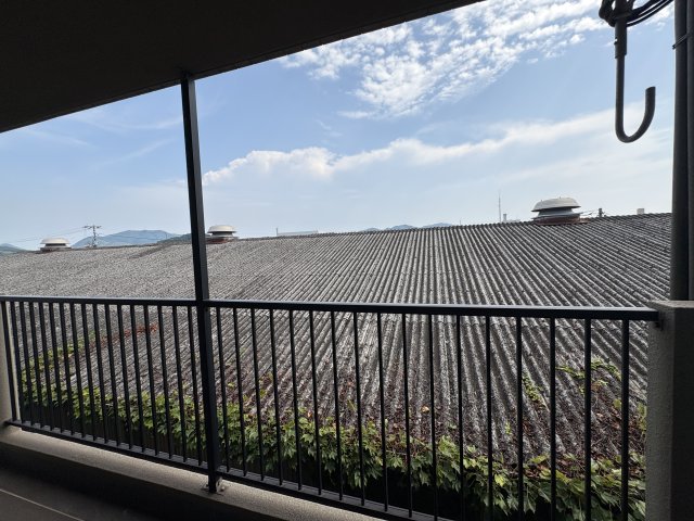 APEX高嶋のその他写真