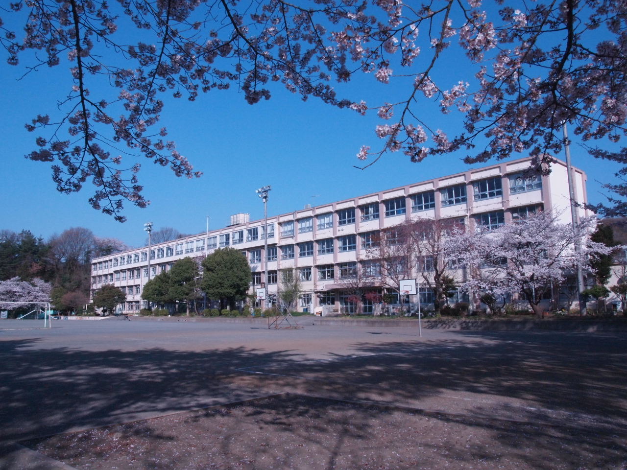 小学校　八王子市立 船田小学校（小学校）まで1170m