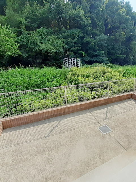 庭