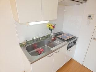 グランカーサ南13条のキッチン写真