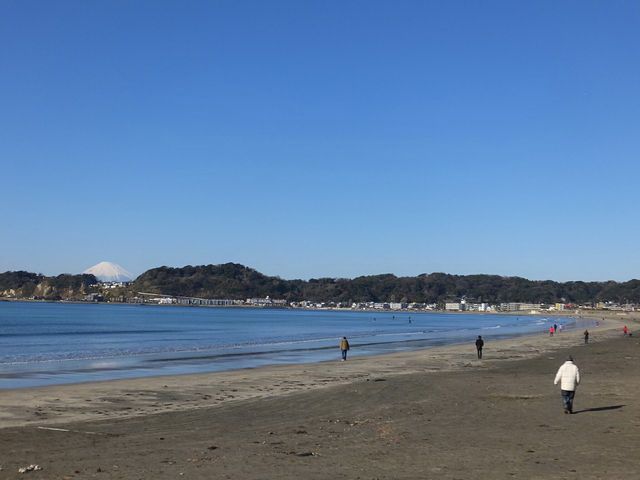 その他　材木座海水浴場（その他）まで240m