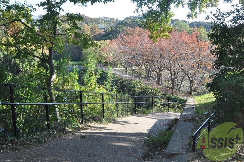 【神戸市須磨区多井畑東町のアパートの公園】