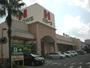 スーパー　ハローズ十日市店（スーパー）まで240m