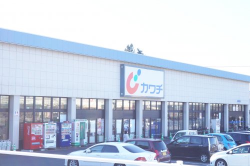 ドラックストア　カワチ薬品 石井町店（ドラッグストア）まで781m