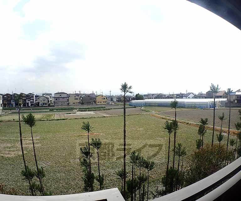 眺望　日当たり良好です