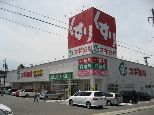 ドラックストア　スギ薬局穂積店（ドラッグストア）まで1142m