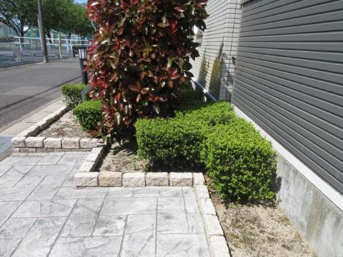 庭　庭（イメージ）