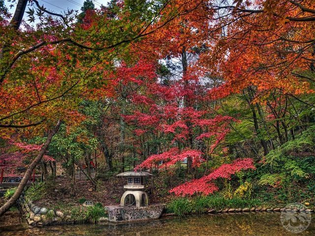 公園　南生田公園（公園）まで764m