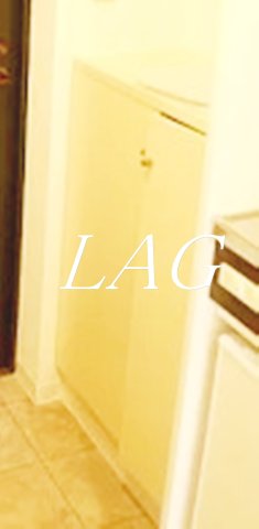 収納　シューズボックスです。