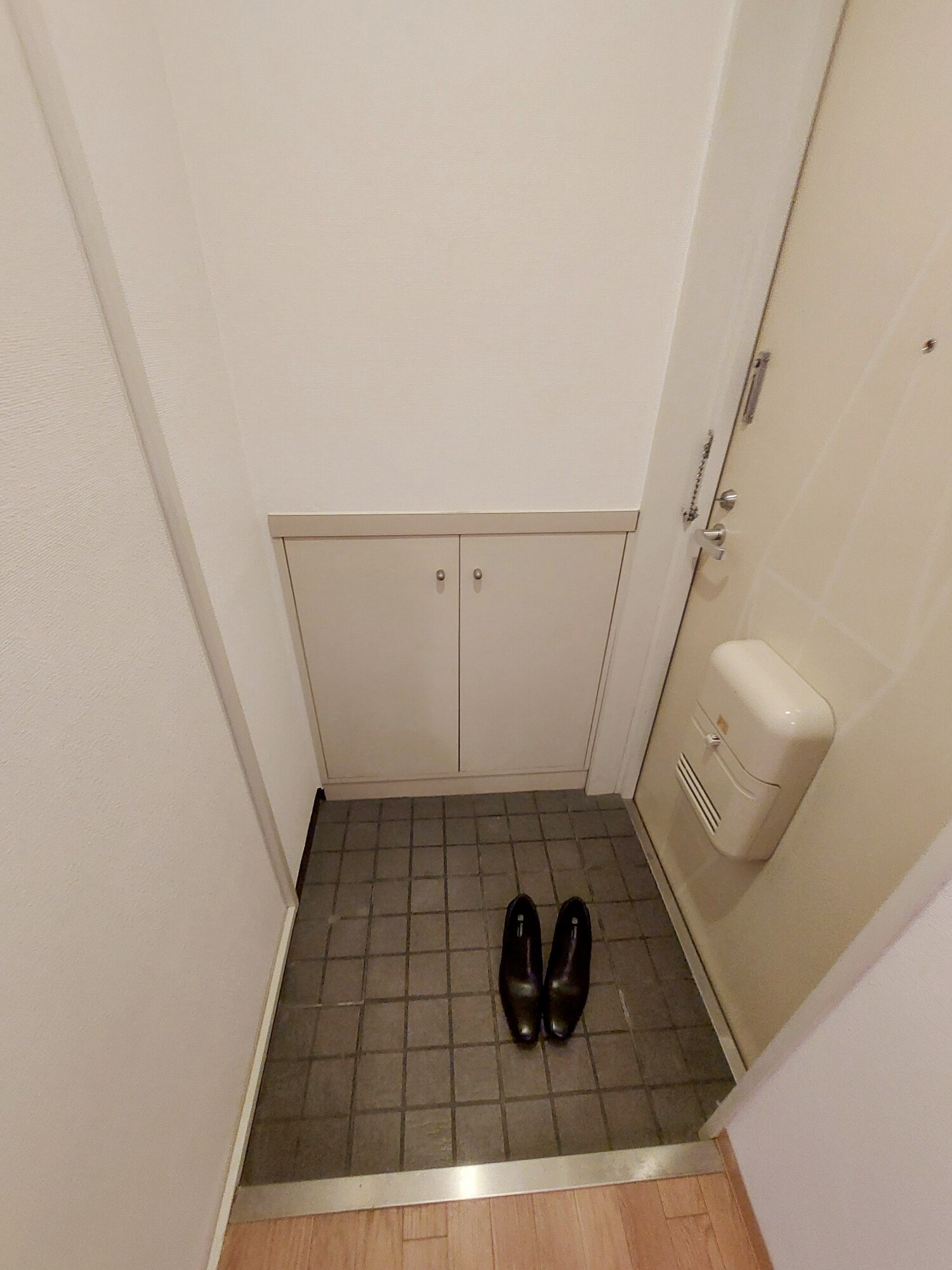 シュレスヘン南塚口の玄関写真