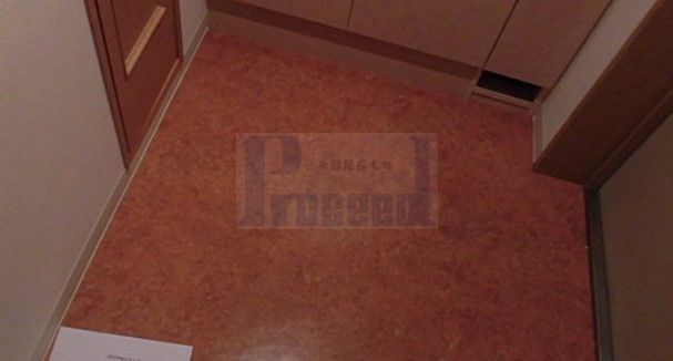 玄関　※別部屋参考写真