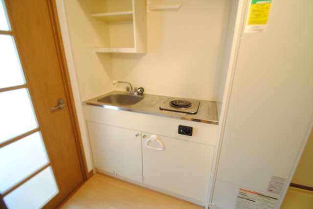 キッチン　同物件、別部屋写真