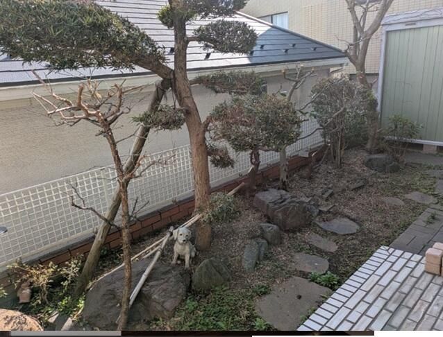 庭