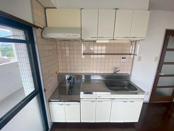 グリーン金剛マンションのキッチン写真